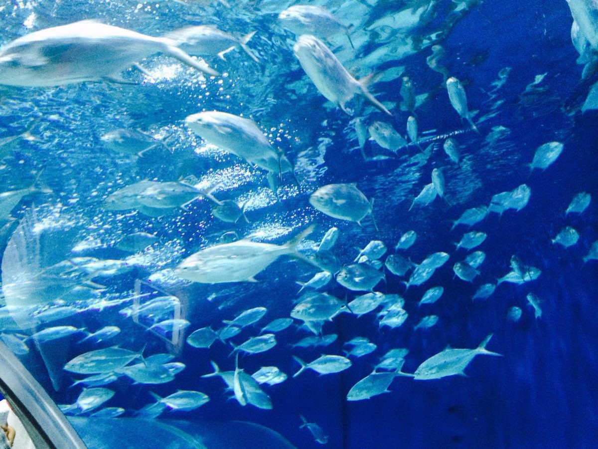 上海旅游景点推荐,十大必去景点图文介绍