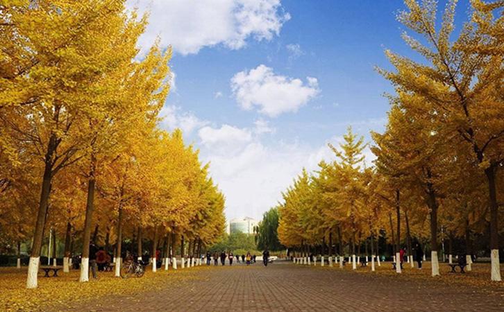 保定一日游你会去哪里?河大 军校广场 钟楼 银