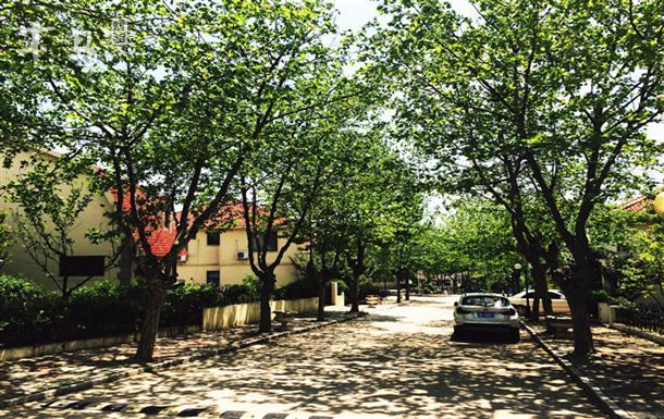 日照山海天(第三浴场)附近伴海山庄度假别墅区