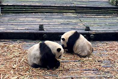 image010.jpg image010.jpg