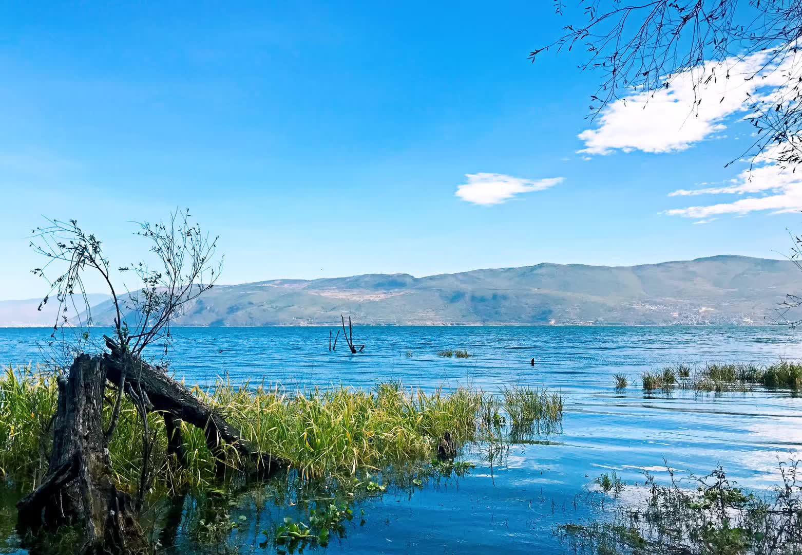 大理港地中海空中海景loft公寓