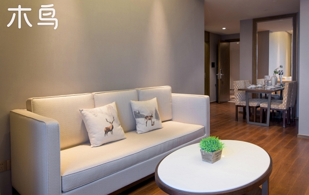 行运金鸡湖摩天轮诚品双大床房