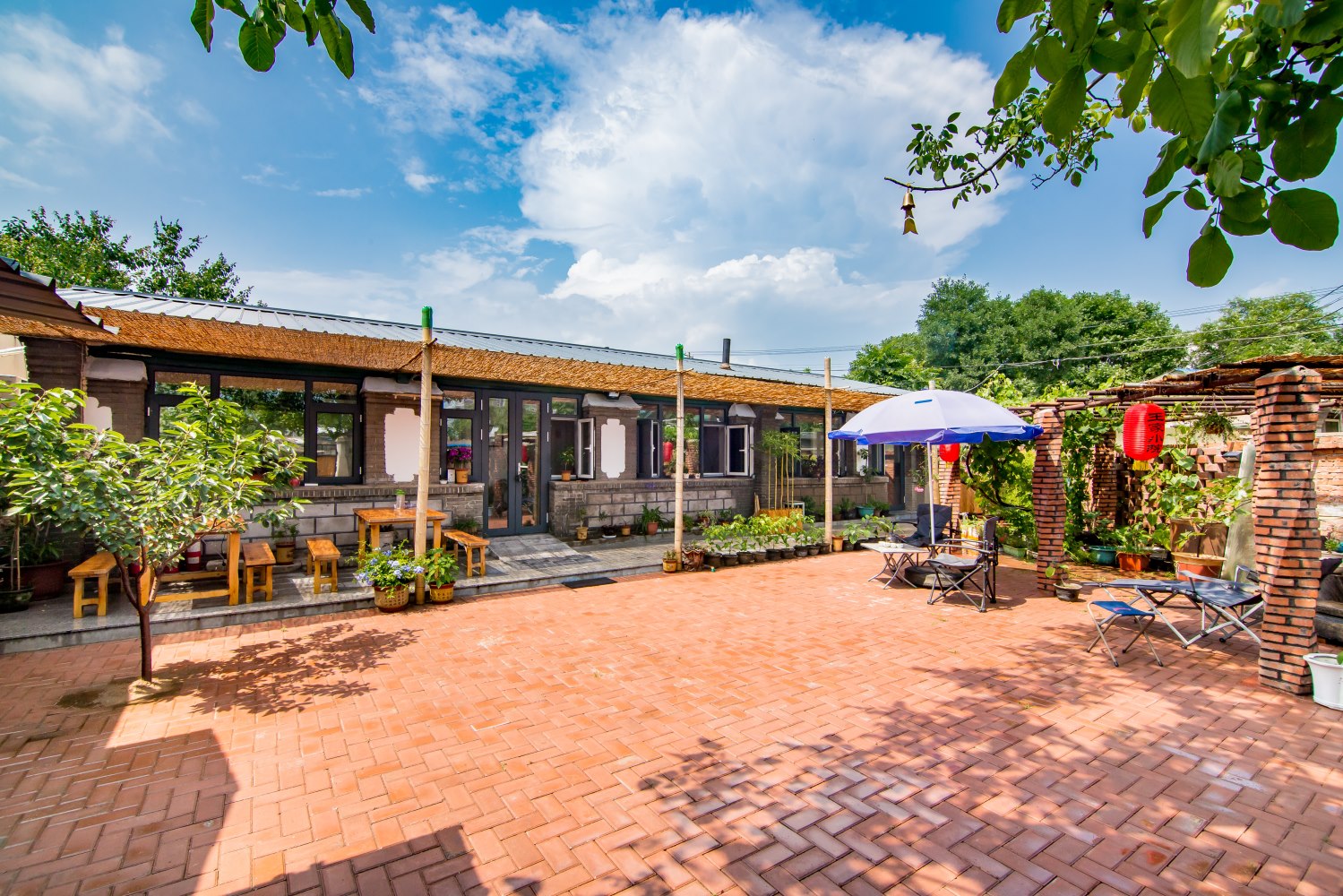 老龙头/乐岛/古城/(王家小院)三居民宿