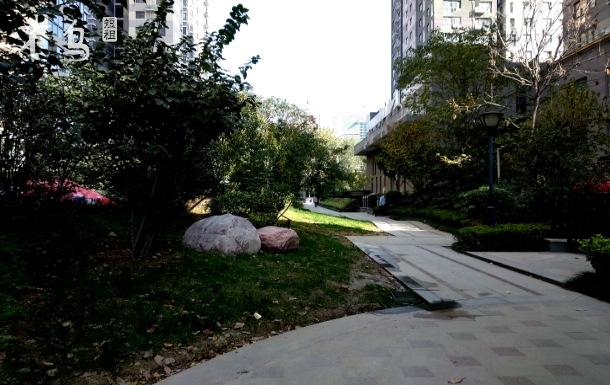 轻工业学院/中医院/天旺广场/一居室温馨大床房-郑州金水区日租-木鸟