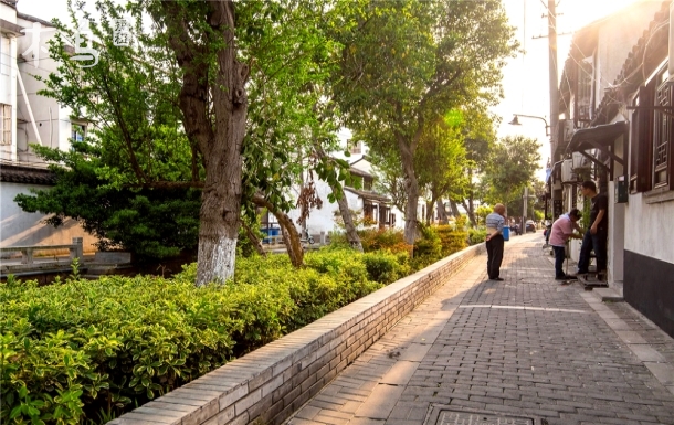 暂时·原非园—平江路旁唐纳故居花厅五居-苏州姑苏区日租-木鸟短租